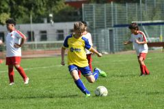 1.-E-Berliner-AK-07-3.-E-15