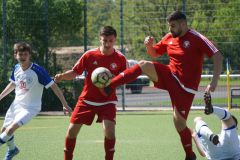 1.-Herren-Brandenburg-03-II-21