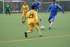 1.-Herren-Stern-Kaulsdorf-03