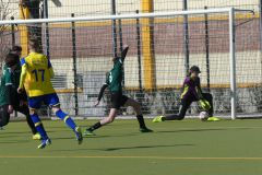 SFC-Friedrichshain-U15-24
