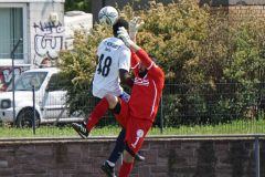 Steglitz-GB-1.-Herren-26