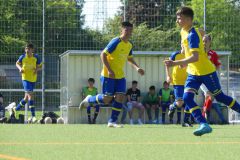 U15-Sparta-Lichtenberg-05